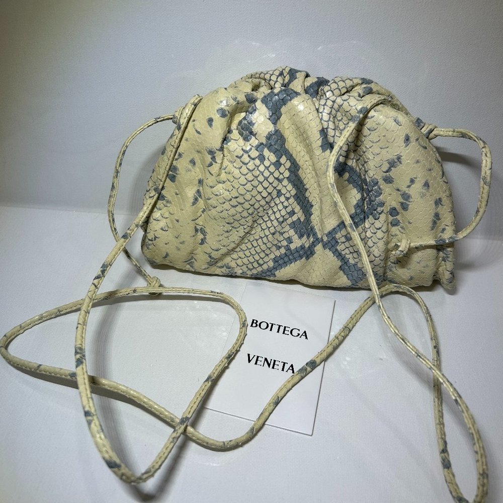 BOTTEGA VENETA The Pouch Kiwi Silver Python Print Mini Crossbody